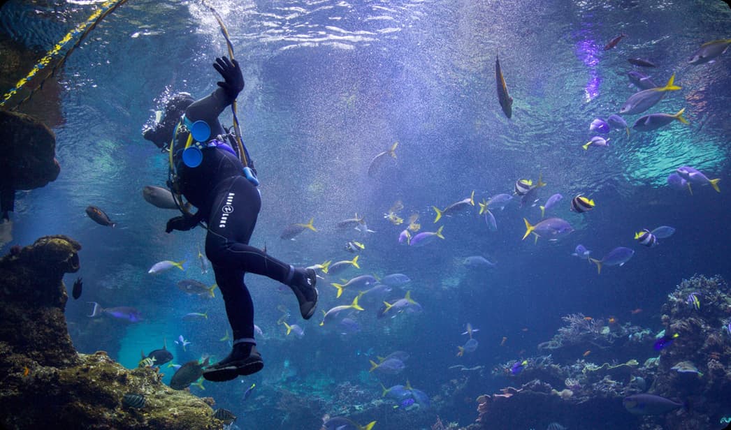 Underwater Operation